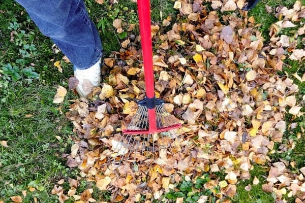 Cleanup Services provided by ABI Landscaping